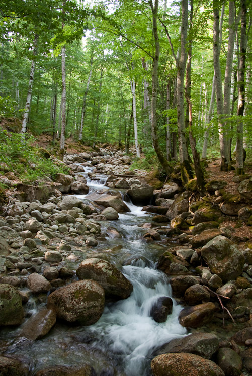 Troisième jour : le long des cascades de l'Agnone.