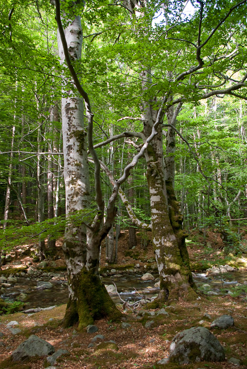 Troisième jour : le long des cascades de l'Agnone.