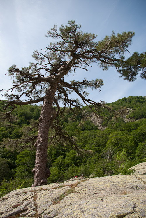 Troisième jour : le long des cascades de l'Agnone.