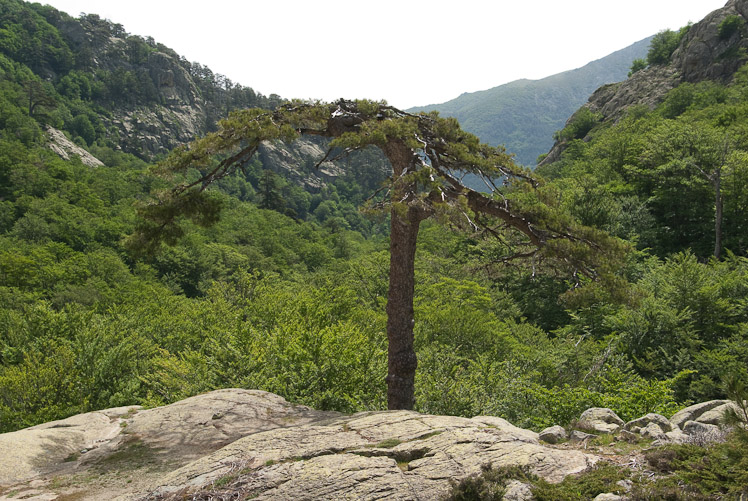 Troisième jour : le long des cascades de l'Agnone.