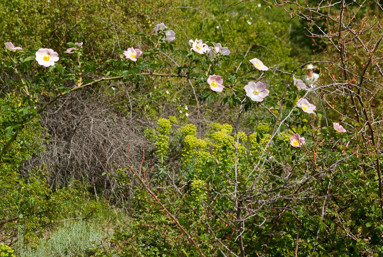 Quatrième jour : le long du torrent de Caldano.