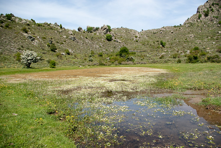 Quatrième jour : le long du torrent de Caldano.