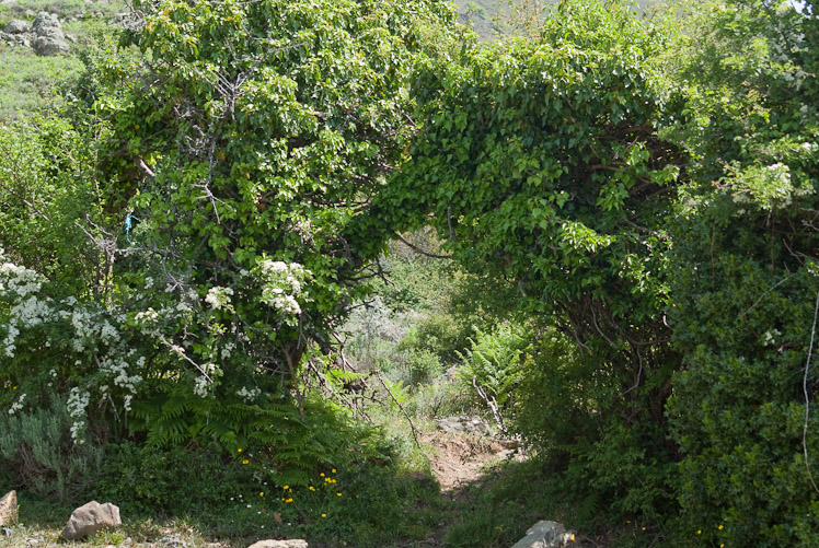 Quatrième jour : le long du torrent de Caldano.