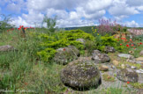 Valsaintes. <br> Gardien du promontoire de Boulinette, le rocher Dragon couve ses œufs et veille sur la vallée de Valsaintes. Cet oppidum fut habité dès le Paléolithique. Des concrétions de formes ovoïdes issues de l'érosion du grès (les boulinettes: nodules plus denses que le grès environnant), ont alimenté la croyance que la déesse Terre identifiée au rocher Dragon, pondait des œufs.