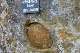 Valsaintes. <br> Un culte fut rendu à la déesse Terre  en consacrant une pierre de fécondité, roche aux formes arrondies comme le ventre d'une femme enceinte, dont les dernières traces sont visibles en contrebas du grand rocher Dragon.