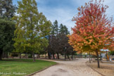 Bourg-Saint-Andéol. <br> Jardin du château Pradelle.
