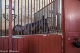 Cluny. <br> Le haras de Cluny.