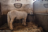 Cluny. <br> Le haras de Cluny.