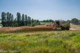 Cette ferme bressane est une exploitation toujours en activité.