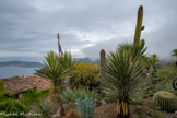 Le jardin exotique d’Eze est aménagé sur l’emplacement d’une ancienne forteresse médiévale à 429 mètres au-dessus de la Méditerranée. Le panorama est l’un des plus exceptionnels de la Riviera. Le regard porte jusqu’aux monts de l’Esterel et au golfe de Saint-Tropez.
