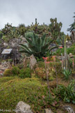 Au sommet du village, à 429 mètres au-dessus de la mer, surplombant un des panoramas les plus exceptionnels de la Riviera, les silhouettes des cactus et les vestiges du Château s’élèvent vers les cieux.