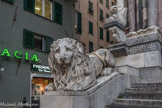 Cathédrale San Lorenzo <br>Un des lions de l'escalier central.