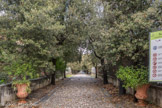 Villa Durazzo Pallavicini. <br> Le parc a été réalisé entre 1840 et 1846, sur projet de l’architecte Michèle Canzio, par la volonté du marquis Ignazio Alessandro Pallavicini, et représente l’excellence dans le domaine des jardins historiques romantiques italiens et européens. La caractéristique unique de ce jardin qui se développe sur 8 hectares de collines, est d’être structurée sur un récit théâtral aux nuances ésotérico-maçonniques qui font de la visite une expérience historico-culturelle, paysagère-botanique mais aussi méditative-philosophique. Le parcours de la visite est articulé en trois actes, chacun desquels composé de quatre scènes caractérisées par des lacs, des petits torrents, des cascades, des édifices de jardin, des décorations, des plantes rares, des belvédères et des ‘illusions scénographiques’ capables de s’approprier