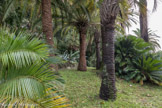 Villa Durazzo Pallavicini. <br> Ier acte : le retour à la nature.
