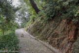 Villa Durazzo Pallavicini. <br> Ier acte : le retour à la nature.