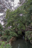 Villa Durazzo Pallavicini. <br> Ier acte : le retour à la nature.