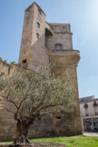 La tour de la Babote. La tour de la Babotte est un élément des vingt-cinq tours de l'enceinte fortifiée ou « commune clôture » qui protégeait la ville de Montpellier à la fin du XIIe siècle, début du XIIIe siècle. Haute de vingt-six mètres, elle reste un des derniers vestiges avec la porte de la Blanquerie, la Porte du Pila Saint Gély et la tour des Pins.