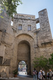 La tour de la Babote. En 1890, la faculté s'installera dans de nouveaux locaux et la tour inemployée accueillera en 1899, la Société colombophile de l'Hérault. En 1903, la Babotte recouvre sa vocation astronomique en accueillant la Société Flammarion.
Mais en 1950, le musée du vieux Montpellier s'y installe pendant 30 ans. En 1981, la Fédération d'astronomie populaire amateur du Midi y installe son siège.