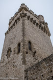 <strong>Saint-Laurent-des-Arbres</strong> <br> Le donjon féodal.