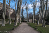 Une allée bordée de platanes, menant aux jardins, classée comme le château et son jardin Monument Historique, permet d’accéder aux deux portails en fer forgé encadrant un bassin rectangulaire qui pourrait être une scène.