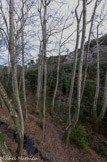 Le vallon de Maurel.