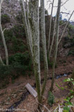 Le vallon de Maurel.