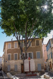La Ciotat. <br>  La place de la Liberté, créée en 1796, nommée Place de la Liberté pour la légende qui veut que le micocoulier ancestral planté à cet endroit est l’Arbre de la Liberté de 1789. L’architecture de la place, conçue par l’architecte Gouirand s’articule autour du Monument aux Droits de l’Homme et du Citoyen érigé à l’occasion du Bicentenaire de la révolution.