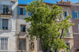 La Ciotat. <br> La Prud'homie des Pêcheurs. En 1364, la reine Jeanne abandonne à l'Abbaye de Saint-Victor de Marseille tous ses droits et pouvoirs sur la communauté de Ceyreste et le bourg de La Ciotat. Aussi, les pêcheurs, pour continuer à avoir le droit de se réunir, durent-ils se constituer en confrérie religieuse. Ils fondèrent vers 1400, dans leur chapelle, la confrérie du Saint-Esprit. Une réglementation de la pratique devint très vite nécessaire. Aussi, en1459, ils rédigèrent la première charte de la prud'homie édictant toutes les règles de bonne conduite de la corporation et qui furent érigées en véritables « lois », définissant en particulier, et pour la première fois, le domaine de pêche de la « Boca de Marsilha » entre le Seser (Bec de l’Aigle) et l’Illa (Ile Verte). Le 8 mai 1747, les patrons pêcheurs décidèrent d'acheter la maison du n°8 de la rue Adolphe Abeille. Une  statue de Saint-Pierre, en marbre, fut commandée à Montedoni, sculpteur génois installé à Marseille, et placée, en 1750, dans une niche sur un socle en pierre de Cassis sur la façade du quai.