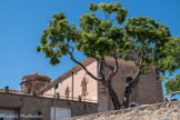 La Ciotat. Chapelle des Pénitents bleus (1626) <br>Elle est entourée de micocouliers, dont un date de 1748. Non contents d'avoir une chapelle en ville, les Bleus en voulurent une au dehors et choisirent le lieu le plus apparent du terroir. En 1610, le dimanche jour des Rameaux, ils allèrent en procession sur la montagne de la Roque Redonne qui venait de prendre le nom de la Gardy après l’installation de la nouvelle vigie et, après avoir planté une croix, décidèrent d’édifier à la place de l’Ermitage de « la Gardy » qui existait déjà là depuis au moins 1500, une chapelle qui serait appelée Notre-Dame de la Garde. Toujours plus prospères, les Pénitents Bleus, achètent en 1618 des terrains autour de leur chapelle urbaine puis, décident de lui en adjoindre une nouvelle, plus imposante, en 1626.