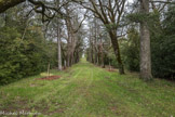 Le parc du château de Saint-Martin-de-Pallières. La grande allée ou allée du seigneur. <br> Ce parc de 7 hectares fut créé au XVIIIIe siècle par François de Laurens, sous la maîtrise d’œuvre du géomètre aixois 0uvière.
Au terme de colossaux travaux de terrassement, considérés dans la région comme le chantier du siècle, il fit planter trois majestueuse allée de buis et d’arbres, transplantés un par un, bordées de massifs arborés à perte de vue. La tradition attribue à Antoinette de Melun, son épouse, descendante des illustres seigneurs des Flandres, le tracé de ces allées sur le modèle des grands domaines de son pays natal.