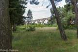 <center>Le cimetière juif.</center>Partie non fouillée du cimetière.