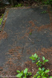 <center>Le cimetière juif.</center>Tombe de Benjamin Mossé, fin du XIX siècle et de sa jeune femme. Il a écrit un poème que l'on a gravé sur la pierre.