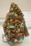 <center>Oligiste</center>