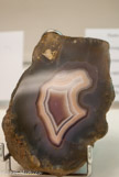 <center>Agate</center>