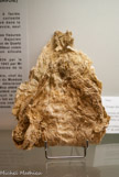 <center>Allevardite nouveau minéral trouvé à la table (Savoie)</center>Ce curieux minéral à faciès papiracé, véritable curiosité minéralogique, a été trouvé dans la carrière de La Table en Savoie, seul gisement connu.
Il se rencontre dans les fissures d'un calcaire bleu du Bajocien accompagné de petits cristaux de Quartz aplatis. C'est un minéral phylliteux voisin de la Montmorillonite, un silicate complexe l'Alumine hydratée.