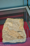 <center></center>