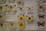 <center></center>