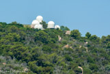 <center></center>