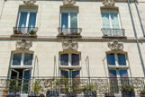 <center>L'île Feydeau. </center>