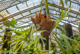 <center>Jardin des plantes. </center>