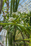 <center>Jardin des plantes. </center>