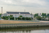 <center>Ile de Nantes. </center> Jadis prairies exploitées pouf l'élevage bovin, naguère terreau industriel des savonneries, des chantiers naval et du commerce maritime cette terre vit désormais une nouvelle destinée. Une équipe de constructeurs de machines a installé son atelier sous les Nefs des anciens chantiers navals. Leur imaginaire explore la cime des arbres, la savane ou les fonds sous-marins, ils construisent un bestiaire de machines vivantes qui s'échappent de l'atelier pour peupler ce territoire en pleine mutation.
