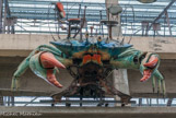 <center>Ile de Nantes. </center> Le crabe royal.