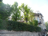 <center>ile_st_louis0010</center>