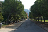 <center>Allée pricipale</center>En 1836, Eugénie avait acquis une propriété avec une bastide, au bord du chemin de la Madrague, mitoyenne de celle des Clary, et qu’elle achètera trois ans plus tard. Entre 1840 et 1852, Eugénie puis Eugène et Jules, acquièrent des parcelles au sud de la bastide Clary et trois lots comprenant la bastide St Amand, qui deviendra la Villa provençale, portant ainsi la campagne Pastré de Montredon à 130 hectares.
En 1850, Eugénie procède à un partage des parcelles : Baptistin reçoit un lot sur lequel se trouve la bastide Clary, Paul un lot autour de la bastide Quinon. En 1853, Eugène et Jules se partagent leurs parcelles : Jules celle de la bastide St Amand et Eugène le vaste terrain au pied du massif de Marseilleveyre. Baptistin édifie sur son lot une vaste bâtisse, aujourd’hui connue sous le nom de château de Sanderval
Céline fait appel à Danjoy pour le château Pastré et Amélie à Colin, un autre architecte parisien.
L’année 1861 voit la mort de Joseph et 1862, celle d’Eugénie.
En 1861, Amélie inaugure sa nouvelle demeure, connue aujourd’hui sous le nom de Villa Estrangin.
Après le retrait de Paul en 1859, c’est la génération constituée d’Henri Estrangin, Pierre Pastré et Aimé Pastré, des petits-fils d’Eugénie, qui prend la direction de la maison Pastré frères.
En 1868 meurt Eugène, et en 1869, Paul.
A la fin des années 1870, Jules est le seul survivant des cinq frères Pastré.