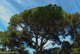 <center>Campagne Pastré</center>