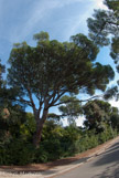 <center>Campagne Pastré</center>