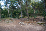 <center>Restes de restanques.</center>