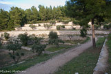 <center>Restanques restaurées.</center>