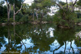 <center>Un lac.</center>